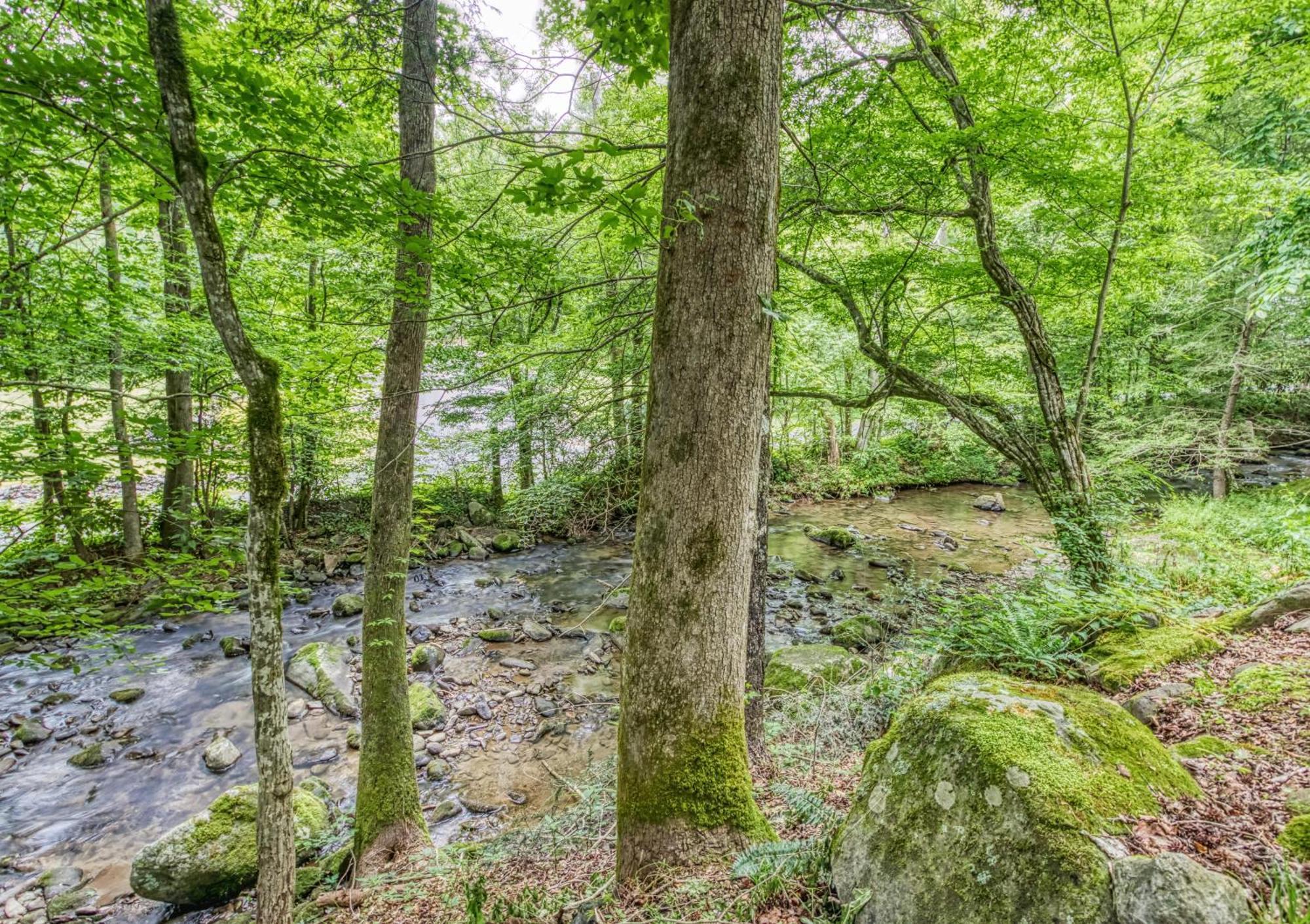 Creek Song #166 Villa Gatlinburg Luaran gambar